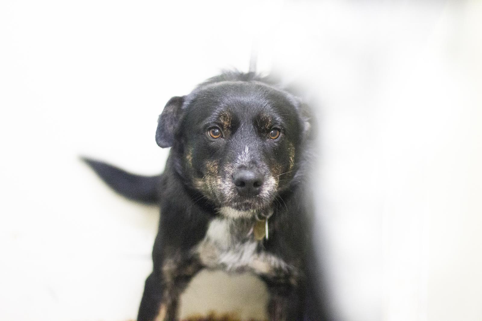 Cosmo