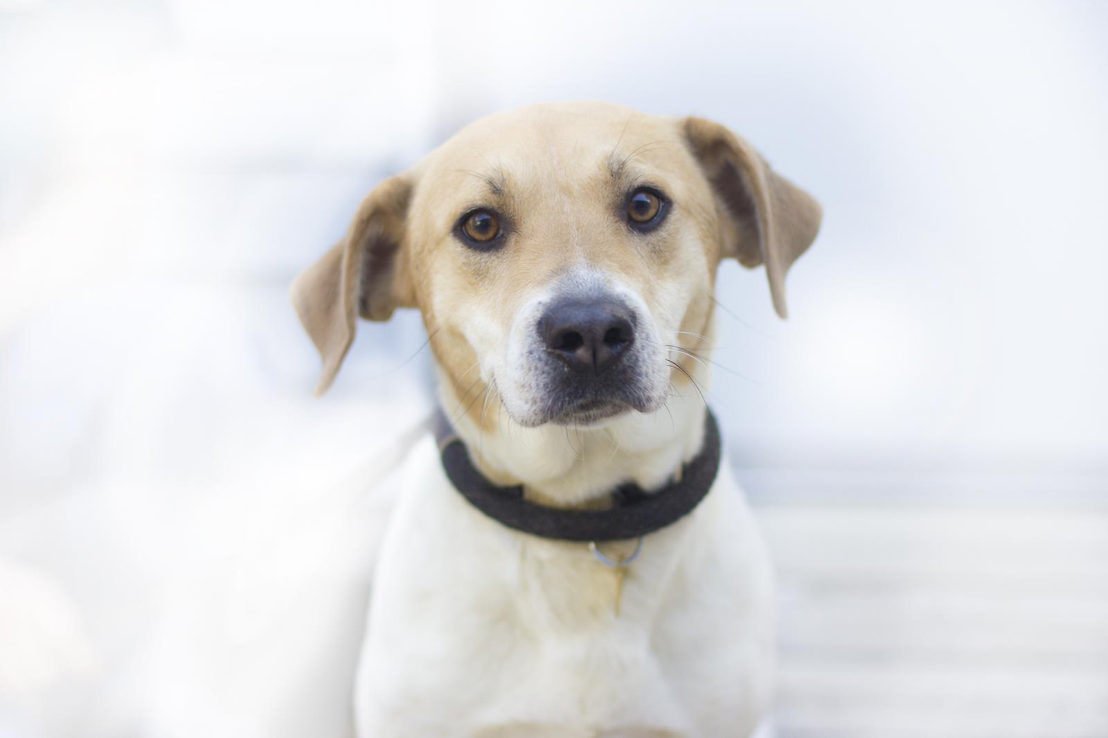 Duke