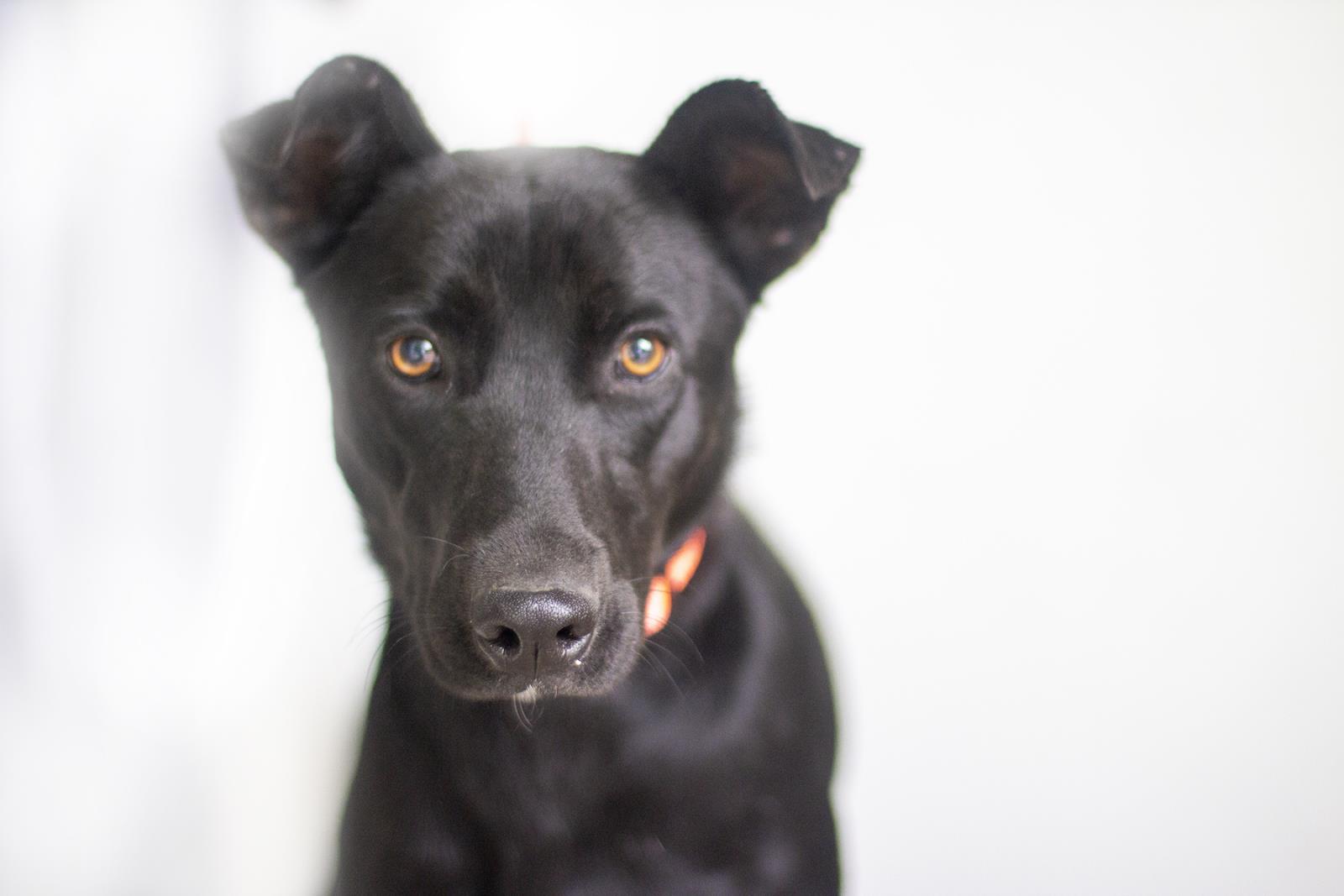 Kiki