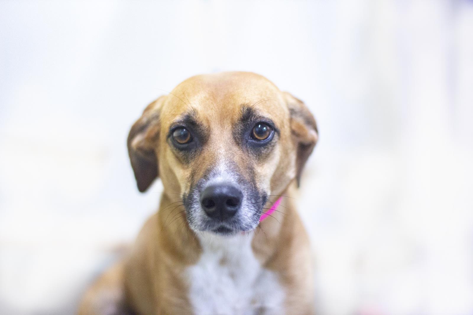 Lulu