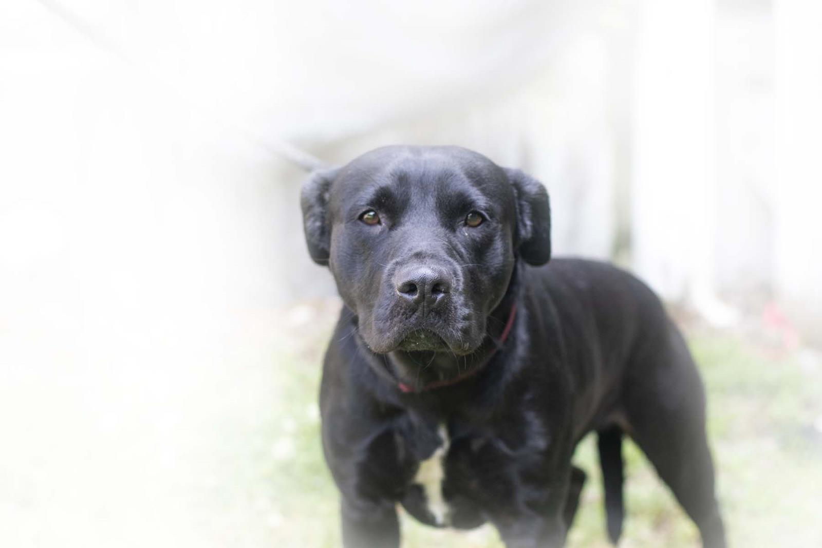Oliver