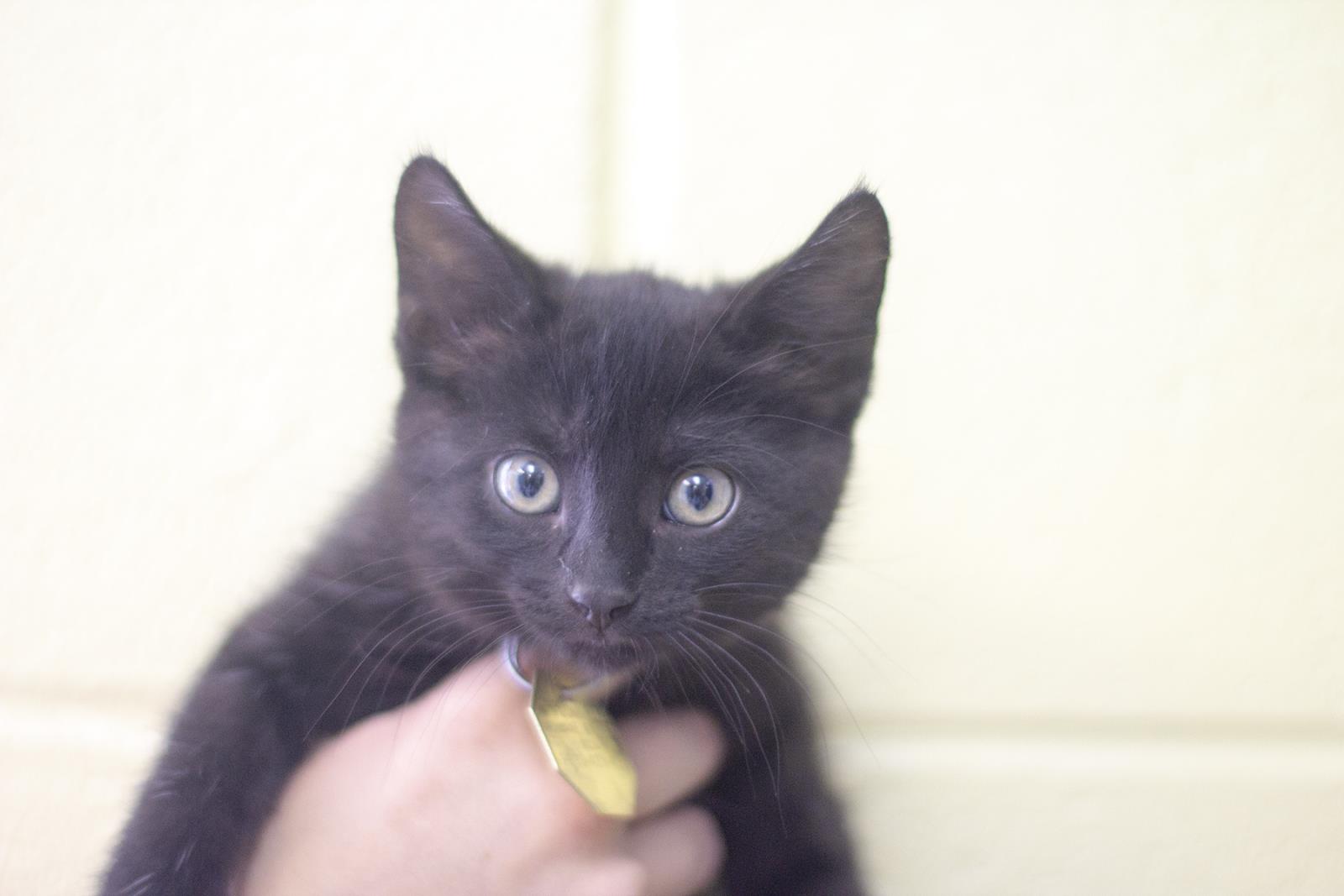 Salem