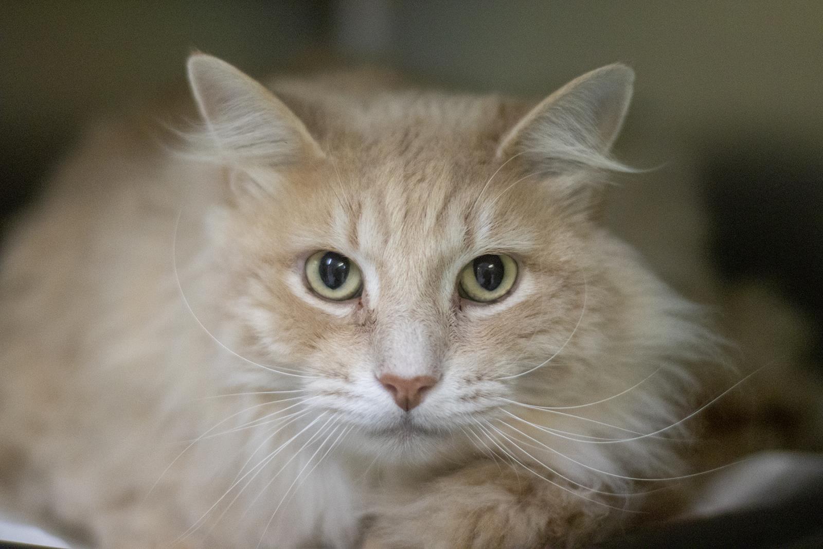Sebastian